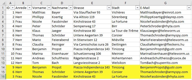 Screenshot einer Tabelle mit Duplikaten. Die letzten Einträge, die Duplikate darstellen, sind zur besseren Sichtbarkeit in Gelb markiert.