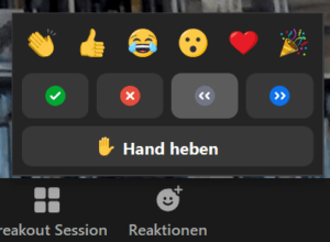 Screenshot, der die verfügbaren Optionen für Reaktionen zur nonverbalen Kommunikation in Zoom anzeigt.