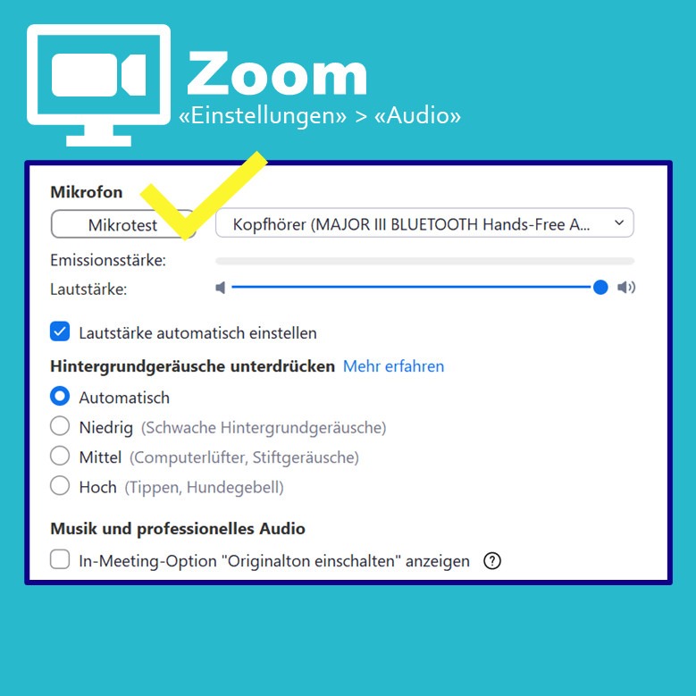 Infografik zu den Audioeinstellungen in Zoom.